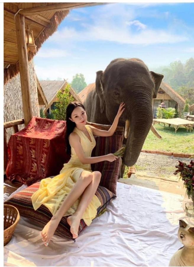 3 Pok Maewang Jinxiang Gold Elephant Park Mae Wang Extérieur photo